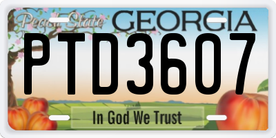 GA license plate PTD3607