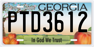 GA license plate PTD3612