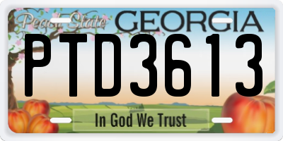 GA license plate PTD3613