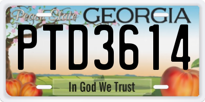 GA license plate PTD3614