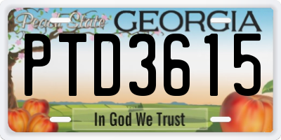 GA license plate PTD3615