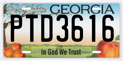 GA license plate PTD3616