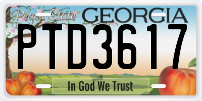 GA license plate PTD3617
