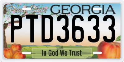 GA license plate PTD3633