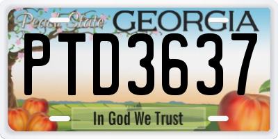 GA license plate PTD3637