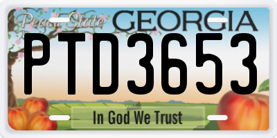 GA license plate PTD3653