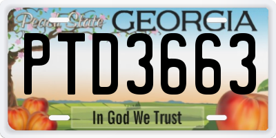 GA license plate PTD3663