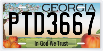 GA license plate PTD3667