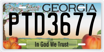 GA license plate PTD3677