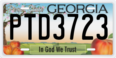 GA license plate PTD3723