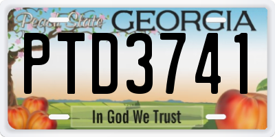 GA license plate PTD3741