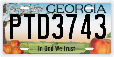 GA license plate PTD3743