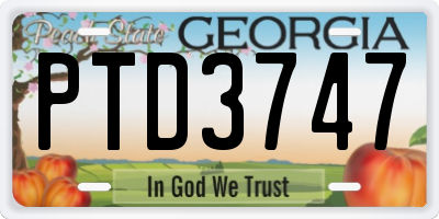 GA license plate PTD3747