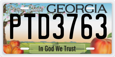 GA license plate PTD3763