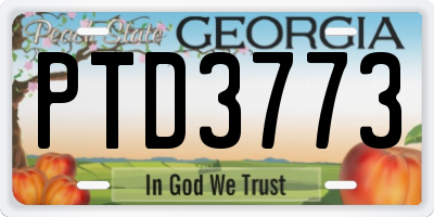 GA license plate PTD3773