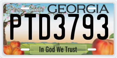 GA license plate PTD3793