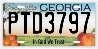 GA license plate PTD3797