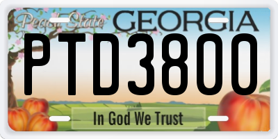 GA license plate PTD3800