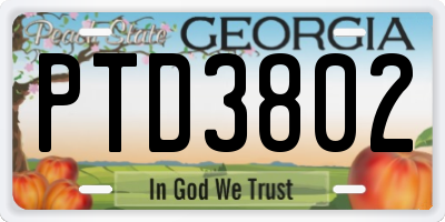GA license plate PTD3802