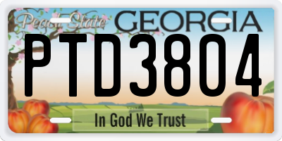 GA license plate PTD3804