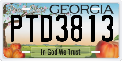 GA license plate PTD3813