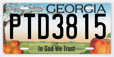 GA license plate PTD3815