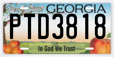 GA license plate PTD3818