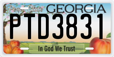 GA license plate PTD3831