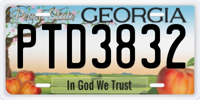 GA license plate PTD3832