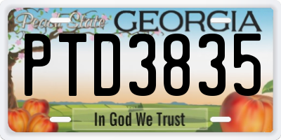 GA license plate PTD3835