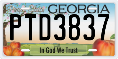 GA license plate PTD3837