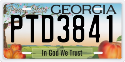 GA license plate PTD3841