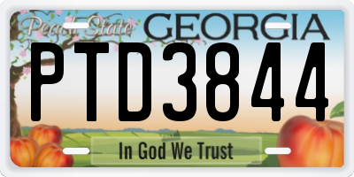 GA license plate PTD3844