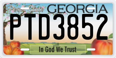 GA license plate PTD3852