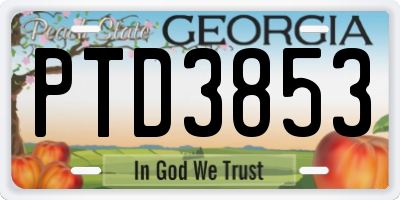 GA license plate PTD3853