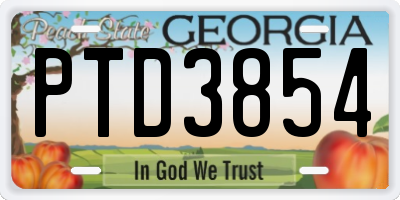GA license plate PTD3854