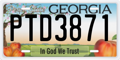 GA license plate PTD3871