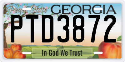 GA license plate PTD3872