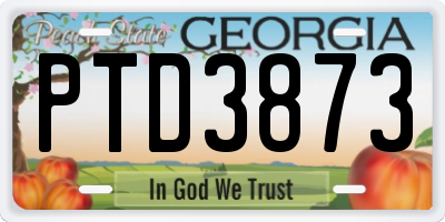 GA license plate PTD3873