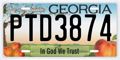 GA license plate PTD3874