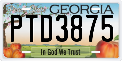 GA license plate PTD3875
