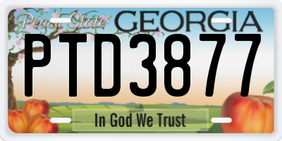 GA license plate PTD3877