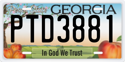 GA license plate PTD3881