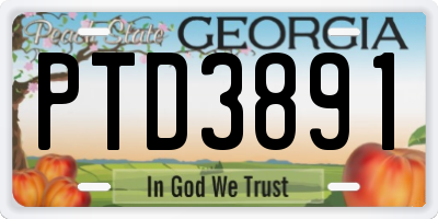 GA license plate PTD3891