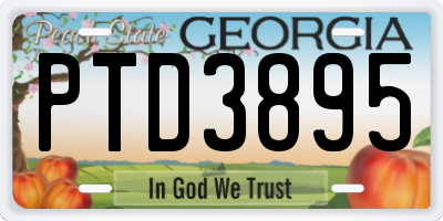 GA license plate PTD3895