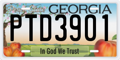 GA license plate PTD3901
