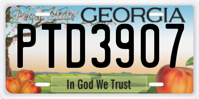 GA license plate PTD3907