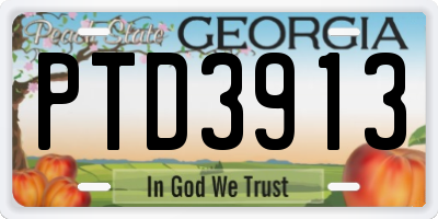 GA license plate PTD3913