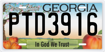 GA license plate PTD3916
