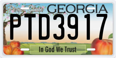 GA license plate PTD3917